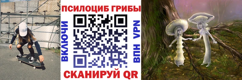 гидра как зайти  Щигры  Галлюциногенные грибы MAGIC MUSHROOMS  где найти наркотики 